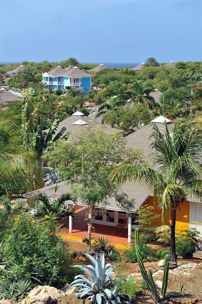 Chogogo Resort Curacao Eksteriør billede